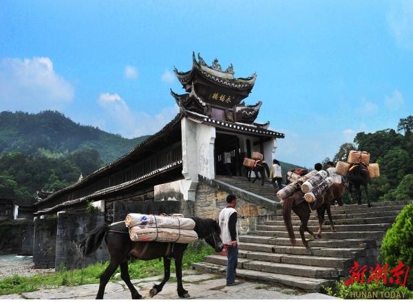 湖南日报特稿｜益山益水，益美益阳！益阳市办会兴城聚动能加快打造境内外游客湖南旅游“第二站”