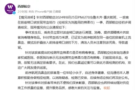 西部航空回应飞机座椅置物袋有“带血湿纸巾”图片