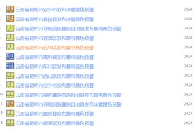 9级以上阵风+冰雹+暴雨！昆明多预警齐发！图片