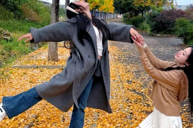 持续两周时间！修文县银杏林迎来最佳观赏期