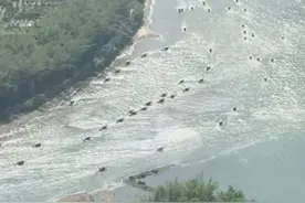 “五一”期间漓江景区“堵船”像“东吴水军出击”，景区工作人员回应图片