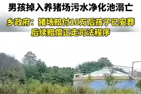 男孩掉入养猪场污水净化池溺亡，乡政府：猪场赔付10万后孩子已安葬，后续赔偿正走司法程序图片