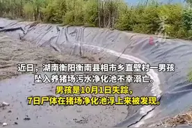 男孩掉入养猪场污水净化池溺亡，乡政府：猪场赔付10万后孩子已安葬，后续赔偿正走司法程序图片