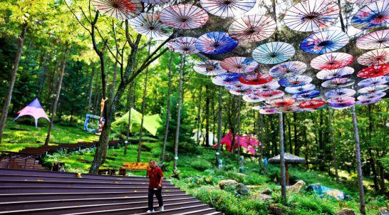 蛟河市文联用光影描绘红叶谷景区焕新升级新画卷