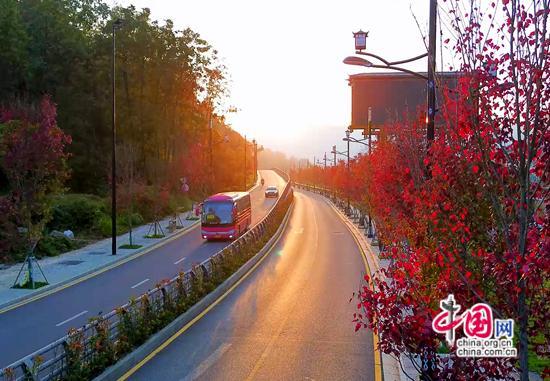 张家界武陵源：层林尽染秋意酣 赴约赏景正当时