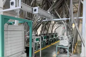 国企精准赋能乡村振兴：麦香漫丝路 金穗惠边疆图片