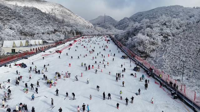 南方人看雪有多拼？“明天有雪”让景区游客翻了20倍|文体视点