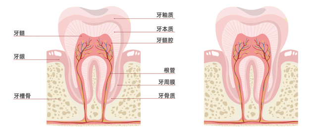 一个敏感起来就出事儿的部位，很多人都忽视了