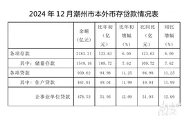 贷款余额增速全省居首！2024年潮州金融数据保持稳定增长图片