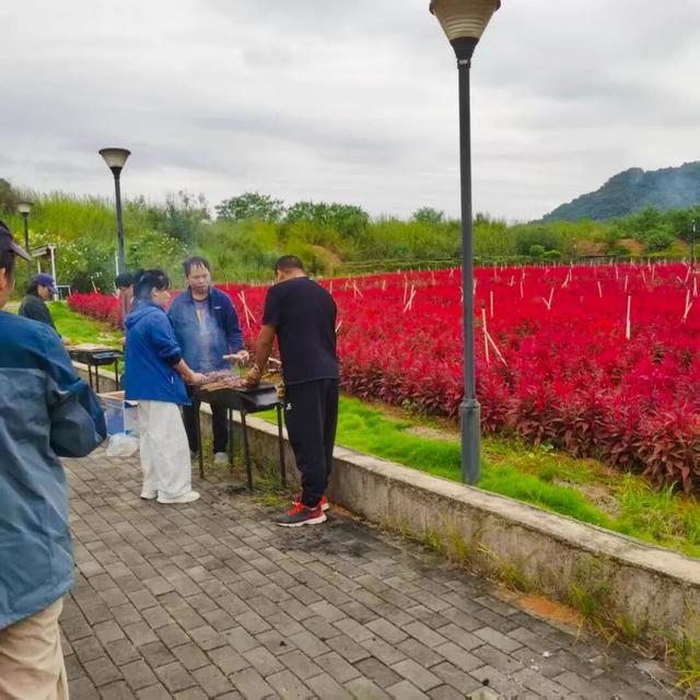 免门票！重阳节这个景区有福利！