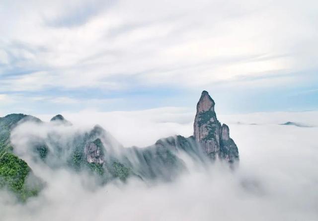 莲都人！免费！