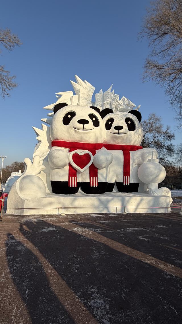 浙江游客专属指南！2025哈尔滨雪博会精彩剧透，23.8米雪人+熊猫承包冬日快乐