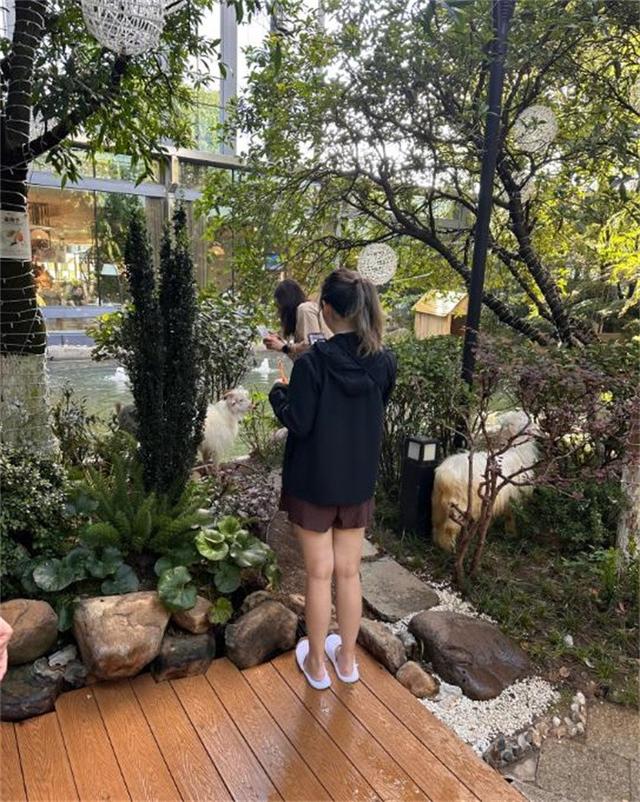萌宠互动 + 花园美食！贵阳铂尔曼大酒店新场景点燃南明秋季文旅市场