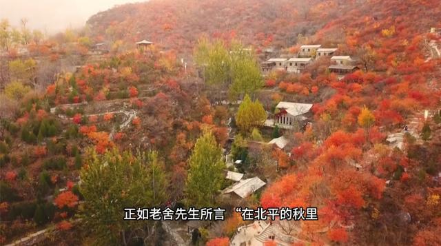 红了！黄了！错过这个节点——真没了！