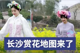 星城无处不飞花！长沙发布赏花地图和5条春季文旅线路图片