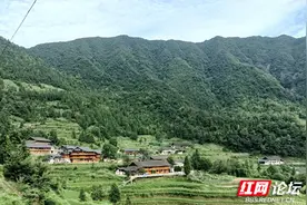 避暑去哪儿⑤丨九龙潭寻夏日清凉田园图片