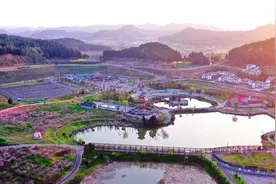 四川西充县：破解花期限制 “赏花经济” 释放产业活力图片