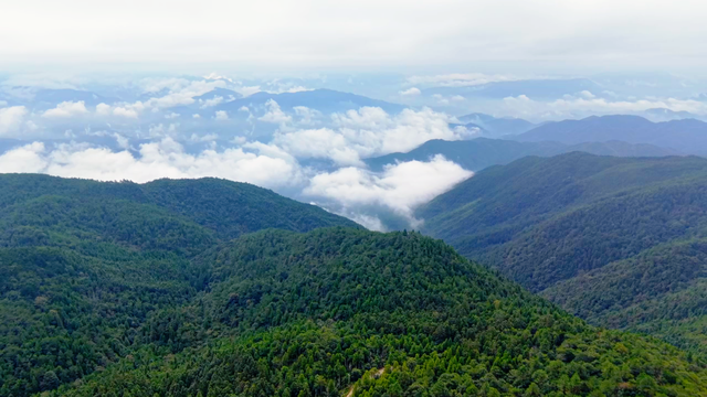 免费开放！闽清秋日生态游绝佳打卡地→
