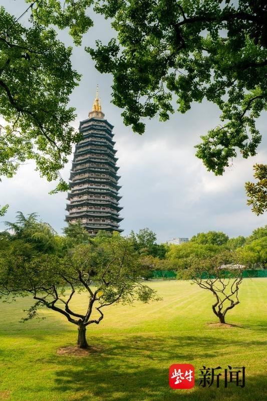 常州天宁胜境开启自在漫步生活季，经典景观“金鱼缸”焕新回归