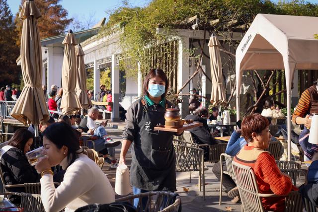 “赏景”变“享景”，情绪价值拉满游园不止“20分钟”