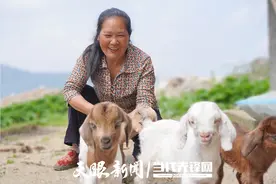 【“乡村振兴·金融有力”系列报道①】新增授信5.21亿元，发放贷款3.14亿元 | 助力春耕备耕 施足“金融底肥”  ——思南农商银行抢抓春耕生产助力农业高质量发展图片