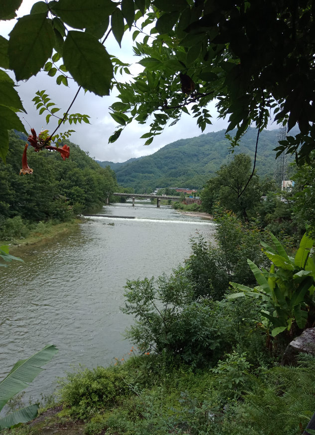 浦洞湖绿绘新卷 碧波荡漾润人心