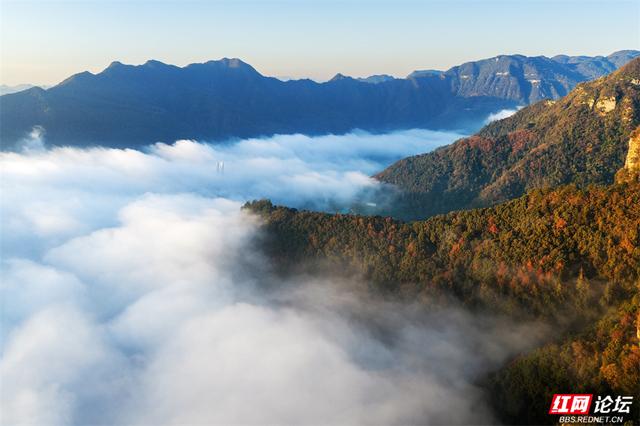 岁暖时刻丨张家界垭门关：云海翻涌时，哪座山的景色最让你心动？