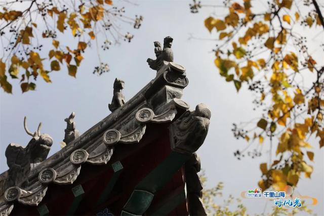 出发！抓住秋天的尾巴威海『拾秋地图』上新啦