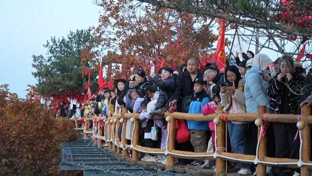 观“五花山”色 享森林康养｜“十一”期间伊春市景区接待游客同比增长54.2%