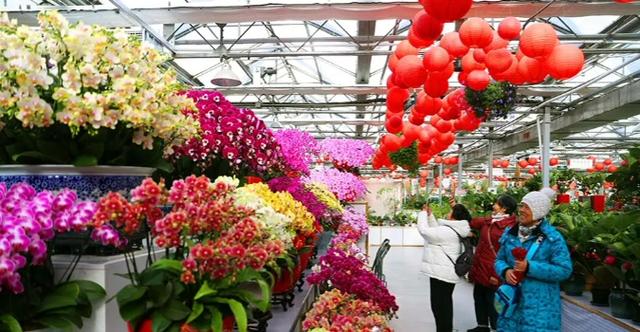 马年春节怎么玩？北京丰台给您准备了6条特色线路