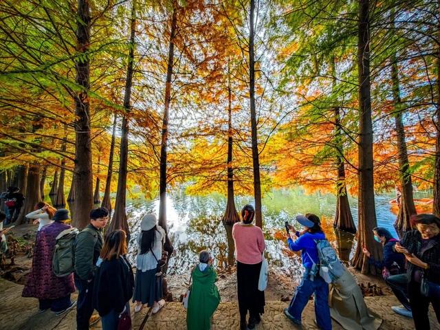 啥情况？“今天的南京，感觉有一亿人”