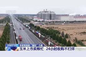从“农头”到“工尾” 玉米丰收背后的产业链有多长？图片