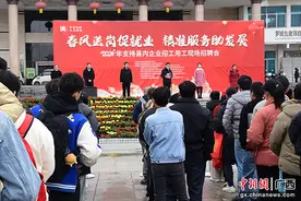 广西罗城着力破解招工难就业难问题图片