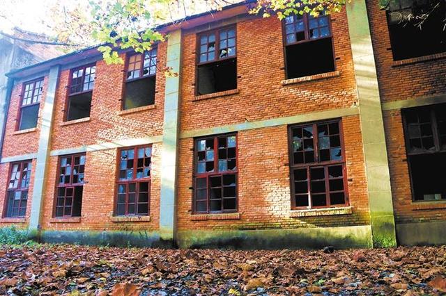 深秋里的工业“遗梦”与金叶“私语”