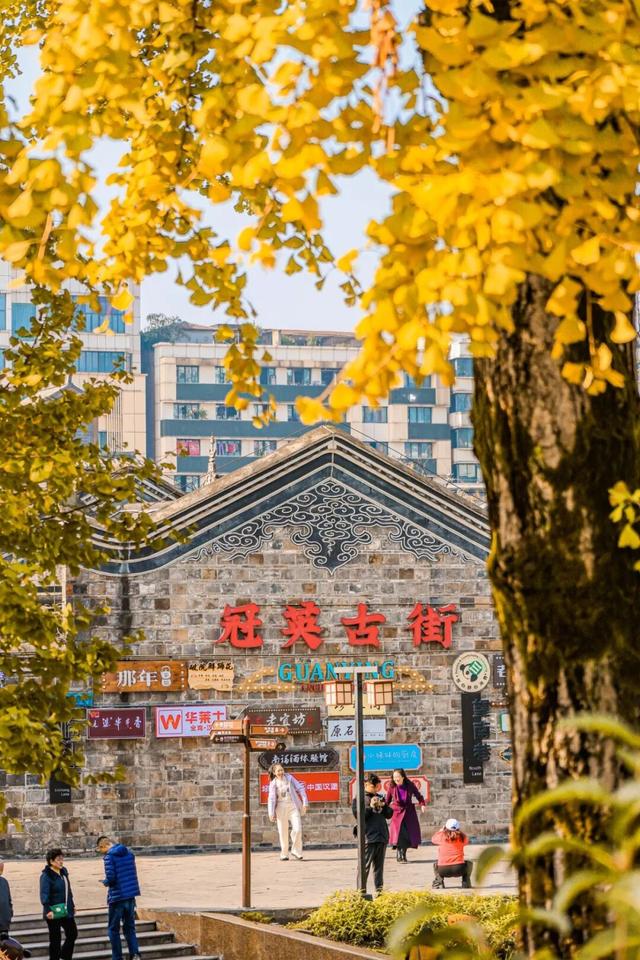 宜宾，含“金”量超高！