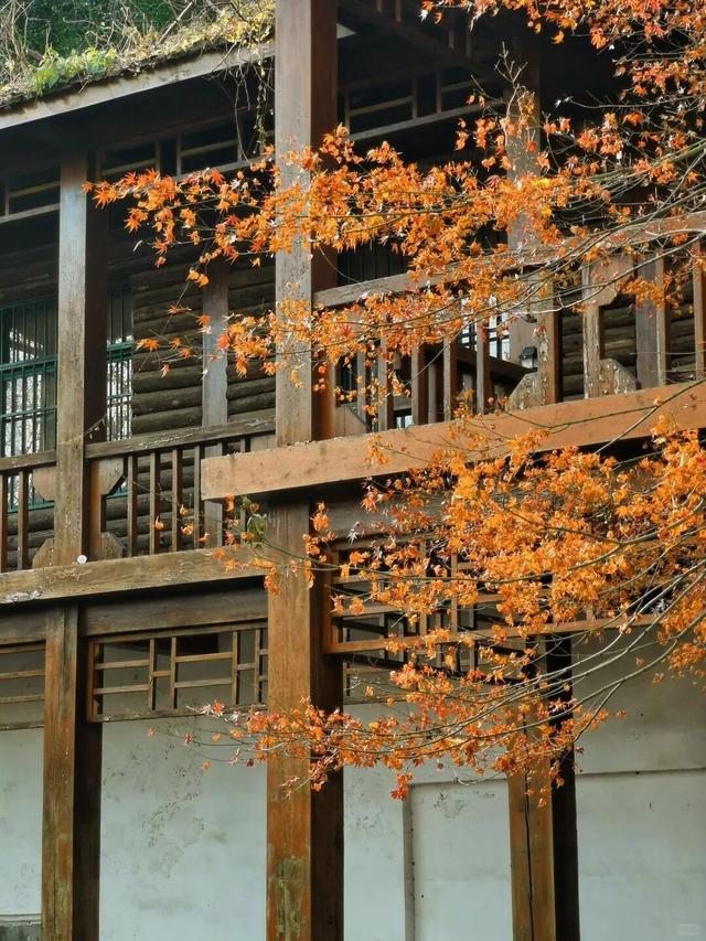 当代人需要的情绪价值，镇江给你！