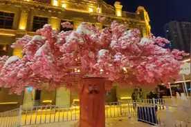 雪夜中的巴洛克街区图片