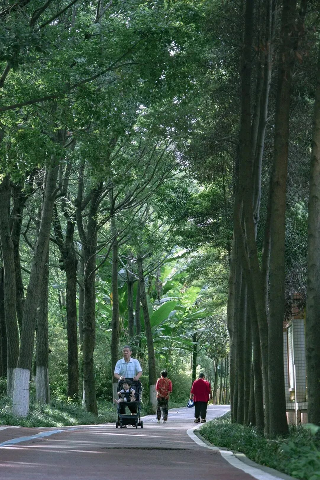 骑进青白江的秋天！这份绿道打卡攻略快收藏