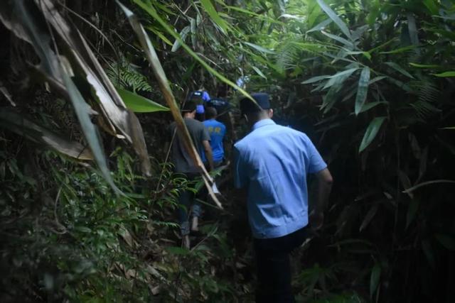 男子上山采菇迷路 民警救助