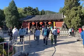 首个高峰到了！记者带你探路，去香山看红叶，你需要知道这些→图片