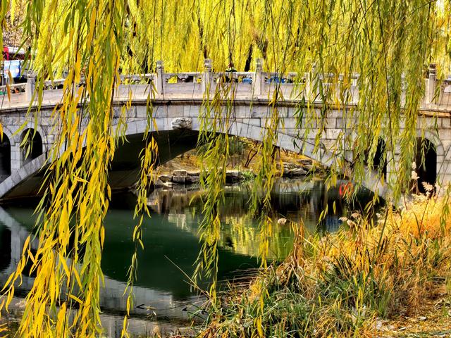 芦苇黄，河水碧，邂逅北京南长河畔的初冬