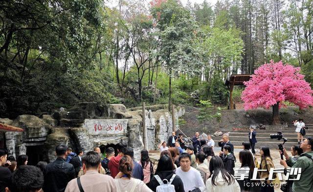 溶洞仙境遇民宿，天供山森林公园等你来打卡｜“来这澧 爱这澧”系列报道①