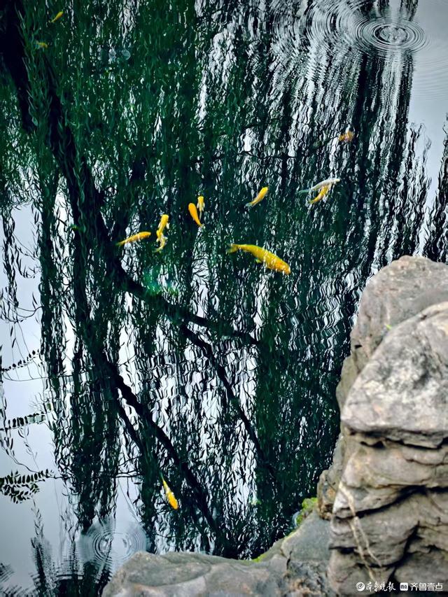 济南五龙潭，初秋好风光