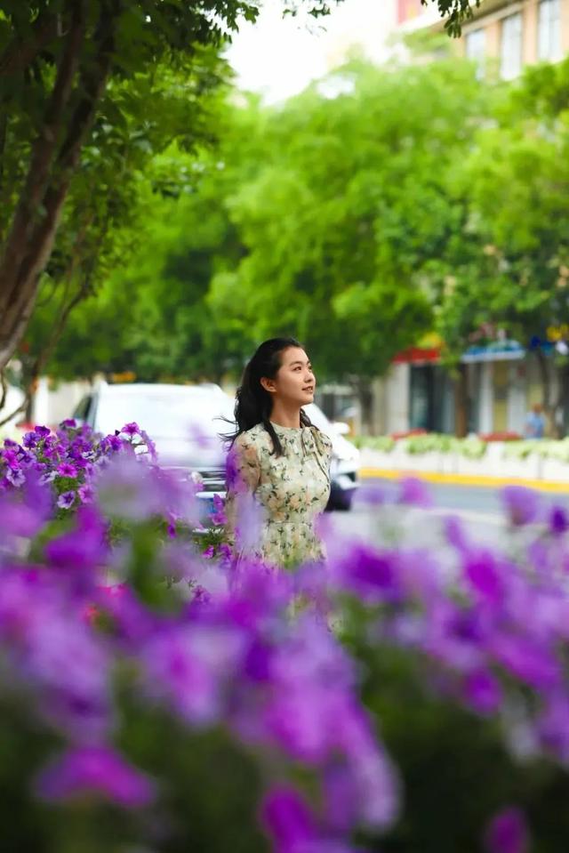临夏市：一座把“浪漫”写进马路牙子的城市