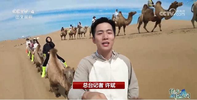 中国治沙开挂：光伏锁沙 苜蓿生金