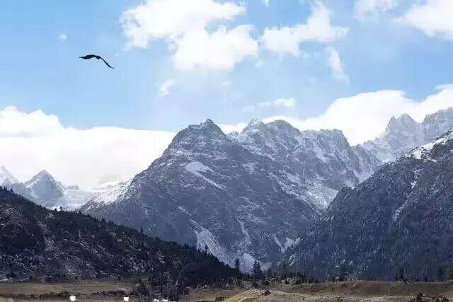 秋天的公路旅行，我会选择G317！