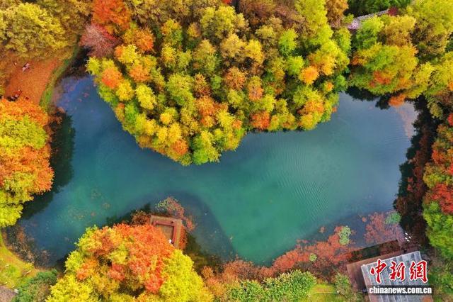 湖北宜昌：彩林碧水醉游人