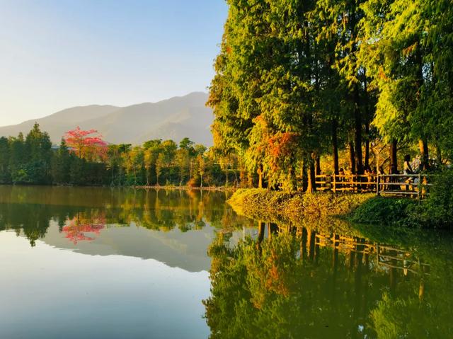 引客入肇！东莞旅行社组团走进星湖↘