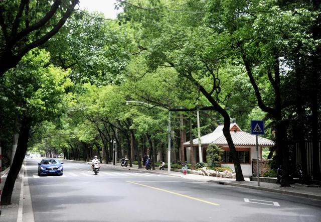 上海市中心唯一小岛也是好起来了！不仅迎来机场，还将变身二次元痛岛！