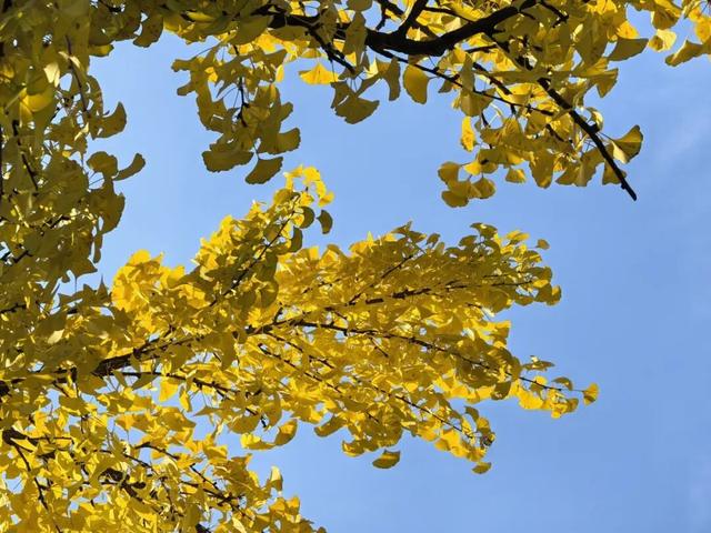 赶紧拍照去！龙泉驿出片指南来了→